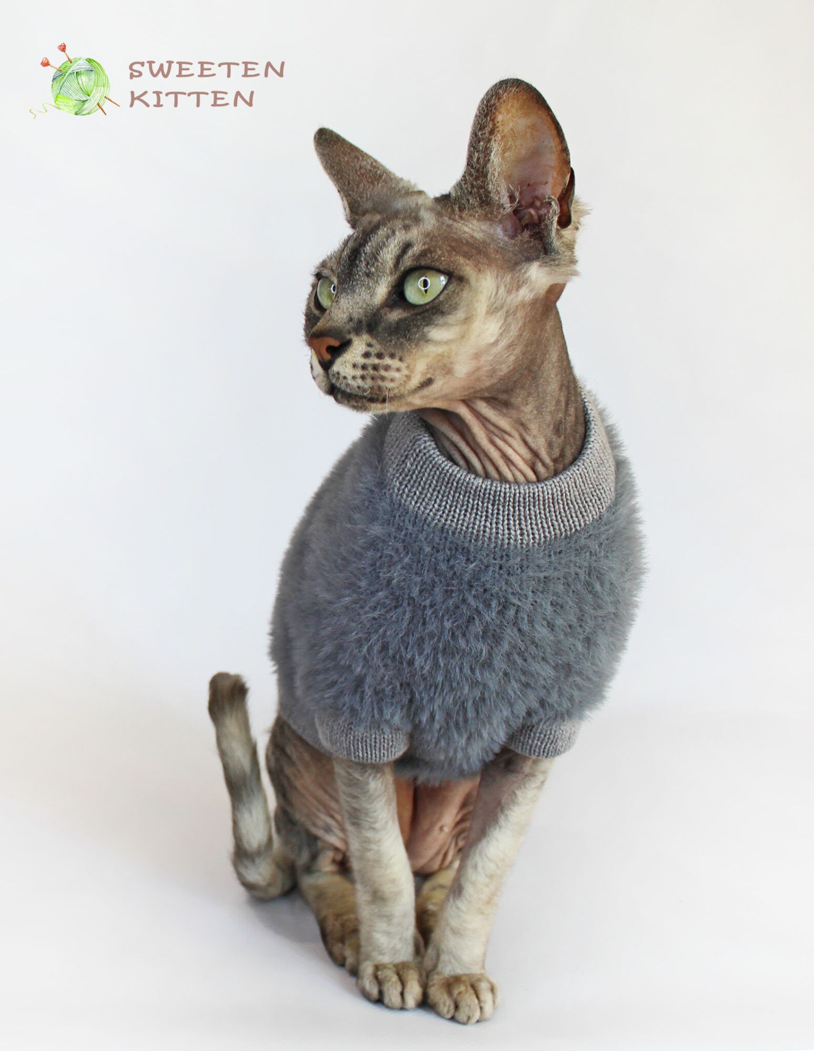 Grey sweater for sphynx kitten Soft warm comfortable jumper Etsy