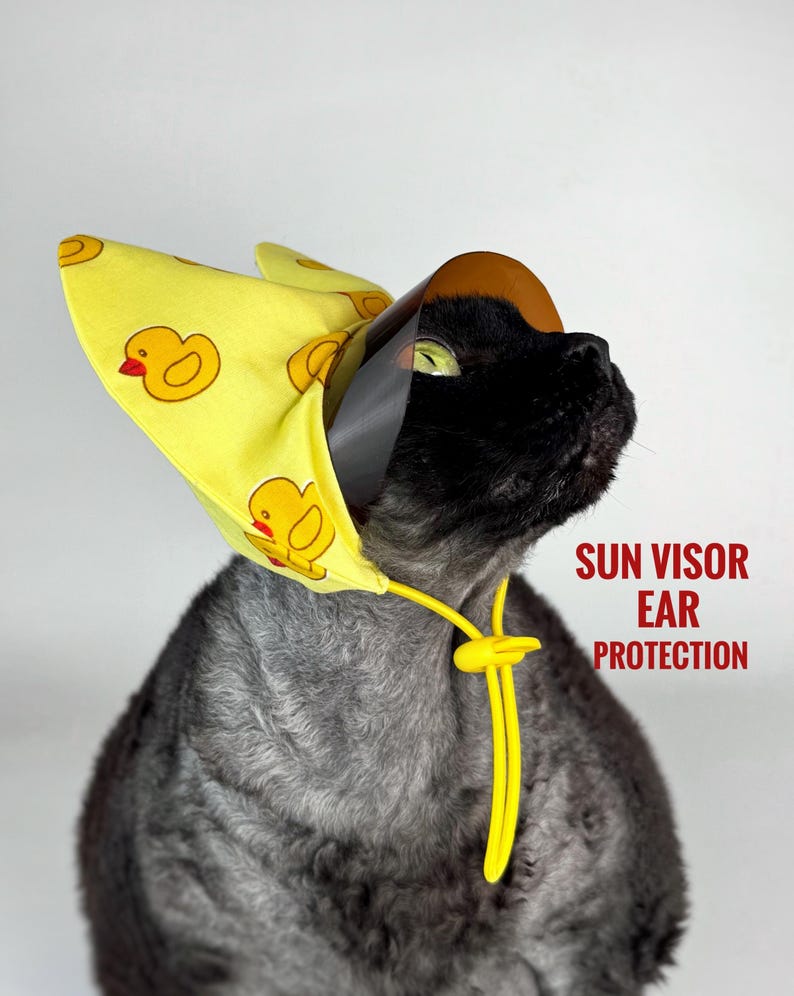 Cat Baseball Cap With Ear Covers, Sun Visor Hat for Cats, Cotton Cat ...