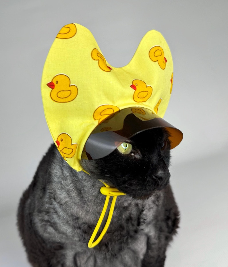Cat Baseball Cap With Ear Covers, Sun Visor Hat for Cats, Cotton Cat ...