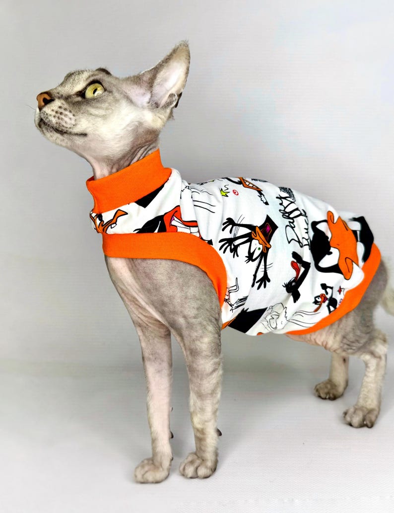 May include: A gray Sphynx cat wearing a white and orange patterned shirt. The shirt features cartoon characters in black and orange on a white background. The shirt has an orange collar and trim.