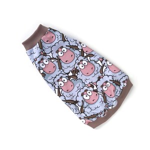 May include: A light blue and brown pet sweater featuring a repeating pattern of cartoon sheep with pink faces and large eyes. The sweater has a brown ribbed collar and cuffs. The sheep are set against a light blue background.