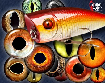 Fish Eyes Etsy