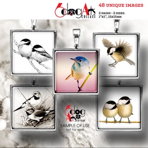 Birds Minimal 1&quot;, 15mm Squares Digital Collage Sheets Printable Instant Download for Pendants Glass Cabochons JC-230S