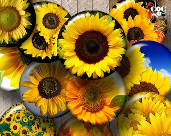Sunflowers Digital Collage Sheets Printable Download Pendants Glass Cabochons Scrapbooking Crafts 1.5" 1.25" 1" 30mm 25mm Circles JC-186C