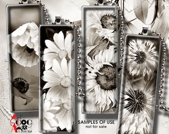 Sepia Flowers Digital Collage Sheets Printable Download Domino Microscope Pendants 1"x3" 1"x2" 19x38mm 15x30mm 10x22mm Rectangles JC-180R