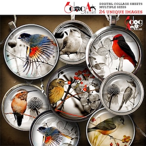 Birds Digital Collage Sheets Printable Downloads Bottle Caps Pendants Glass Cabochons 1.5&quot;, 1.25&quot;, 30mm, 1&quot;, 25mm Circles JC-224C