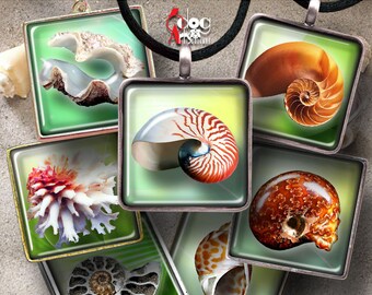 Seashells - 1.5"x1.5", 1"x1", 30x30mm, 25x25mm, 15x15mm Squares Digital Collage Sheets Printable Download Pendants Cabochons Crafts JC-027S