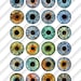 Doll Eye Irises Digital Collage Sheets Printable Realistic Irides ... Doll Eye Irises Digital Collage Sheets Printable Realistic Irides ...