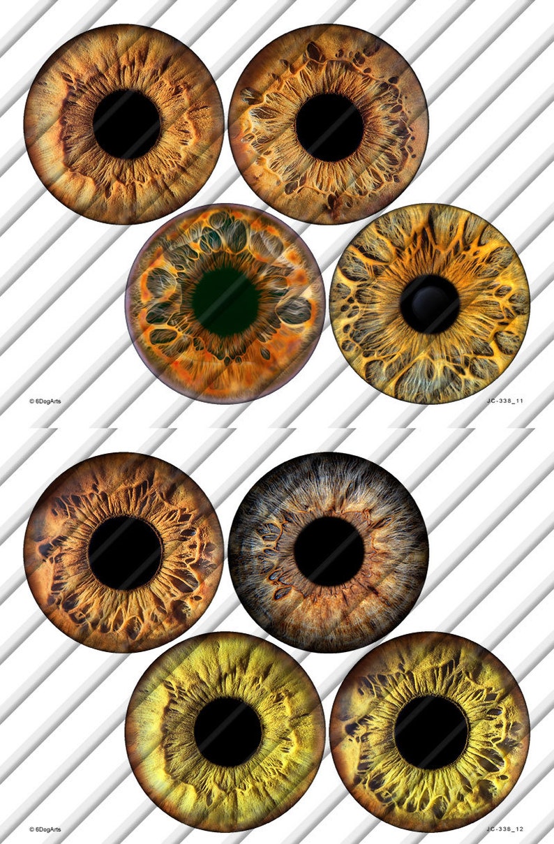 Realistic Eye Irises Digital Collage Sheets Printable Download | Etsy