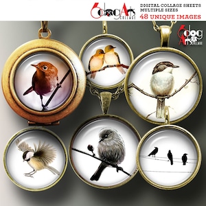 48 unique images Birds Digital Collage Sheets 1&quot; 25mm 20mm 18mm 16mm 14mm 12mm Circles Printable Download Pendants Glass Cabochons JC-230