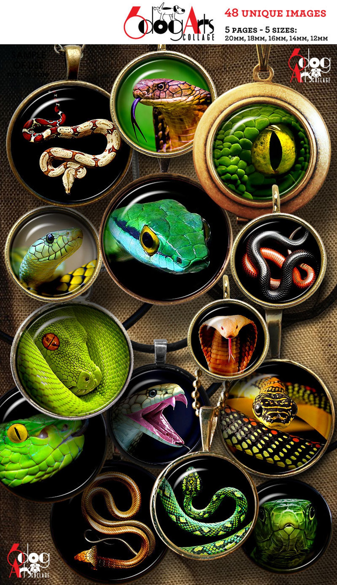 Puthon Snake Collage Snakes Digital Collage Sheets Printable Downloads for Mini Bottle Caps ...