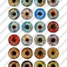 Printable Realistic Irises For Dolls Eyes