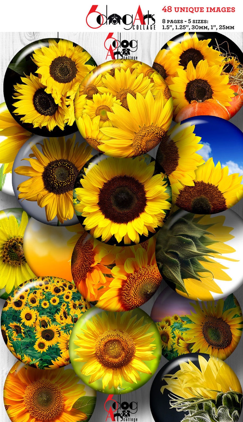 Sunflowers Digital Collage Sheets Printable Download Pendants Etsy