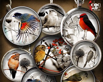 May include: A set of 24 unique digital collage sheets featuring various birds in different poses and settings. The images are in a vintage style with a muted color palette. The collage sheets are perfect for crafting, scrapbooking, and other creative projects.