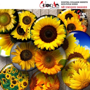 Sunflowers Digital Collage Sheets Printable Download Pendants Glass Cabochons Scrapbooking 20mm 18mm 16mm 14mm 12mm 10mm Circles JC-186C