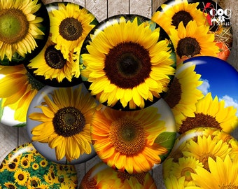 Sunflowers Digital Collage Sheets Printable Download Pendants Glass Cabochons Scrapbooking 20mm 18mm 16mm 14mm 12mm 10mm Circles JC-186C