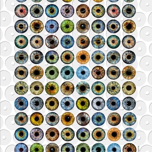 Realistic Eye Irides for Blythe Doll Making - digital collage sheets to download and print - by 6DogArtsCollage on Etsy.