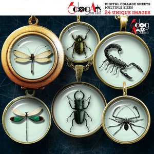 Insects Digital Collage Sheets Printable Instant Download for Pendants Earrings Glass Cabochons 1.5&quot;, 1.25&quot;, 1&quot;, 30mm, 25mm Circles JC-232
