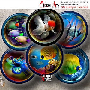 May include: Six colorful round digital collage sheets featuring underwater scenes with various fish, coral, and a goldfish.  The text "6dogArts Collage" is visible in the bottom center of the image.