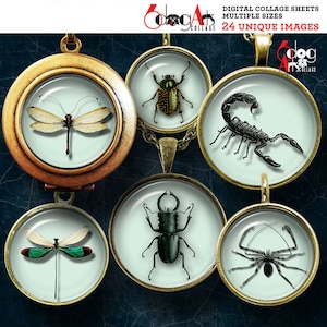 Insects Digital Collage Sheets Printable Instant Download for Pendants Earrings Glass Cabochons 20mm, 18mm, 16mm, 14mm, 12mm Circles JC-232
