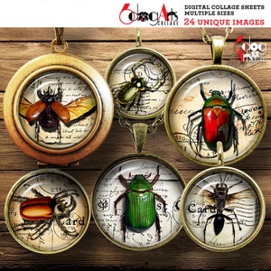 Beetles Digital Collage Sheets Printable Download Bottle Caps Pendants Cabochons Scrapbooking 1.5&quot;, 1.25&quot;, 1&quot;, 30mm, 25mm Circles JC-237