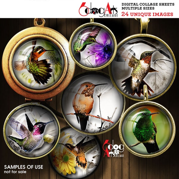 Hummingbird Digital Collage Sheets Printable Download Mini Bottle Caps Pendants Paper Crafts 20mm 18mm 16mm 14mm 12mm 10mm Circles JC-154