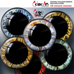 May include: Five colorful eye images with black pupils. The eyes are arranged in a circle with the pupils facing the center. The colors of the eyes are blue, brown, orange, green, and red.