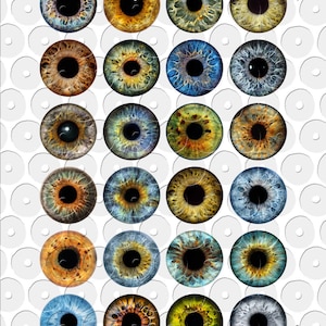 Realistic Eye Irides for Blythe Doll Making - digital collage sheets to download and print - by 6DogArtsCollage on Etsy.