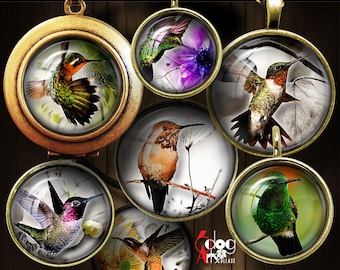 Hummingbird Digital Collage Sheets Printable Download for Bottle Caps Pendants Paper Crafts 1.5, 1.25, 1 inch, 30, 25mm Circles JC-154