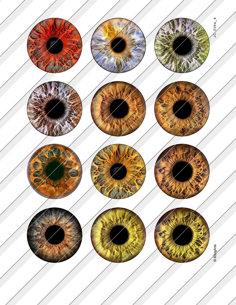 Iprintable Ris Eye 2