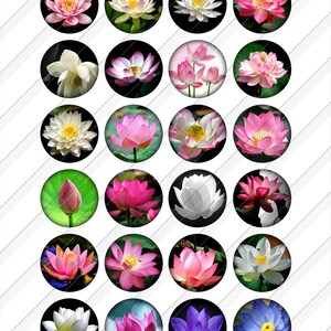 Lotus Flower Digital Collage Sheets Printable Download for Bottle Caps Pendants Paper Crafts 1.5", 1.25", 1", 30mm, 25mm Circles