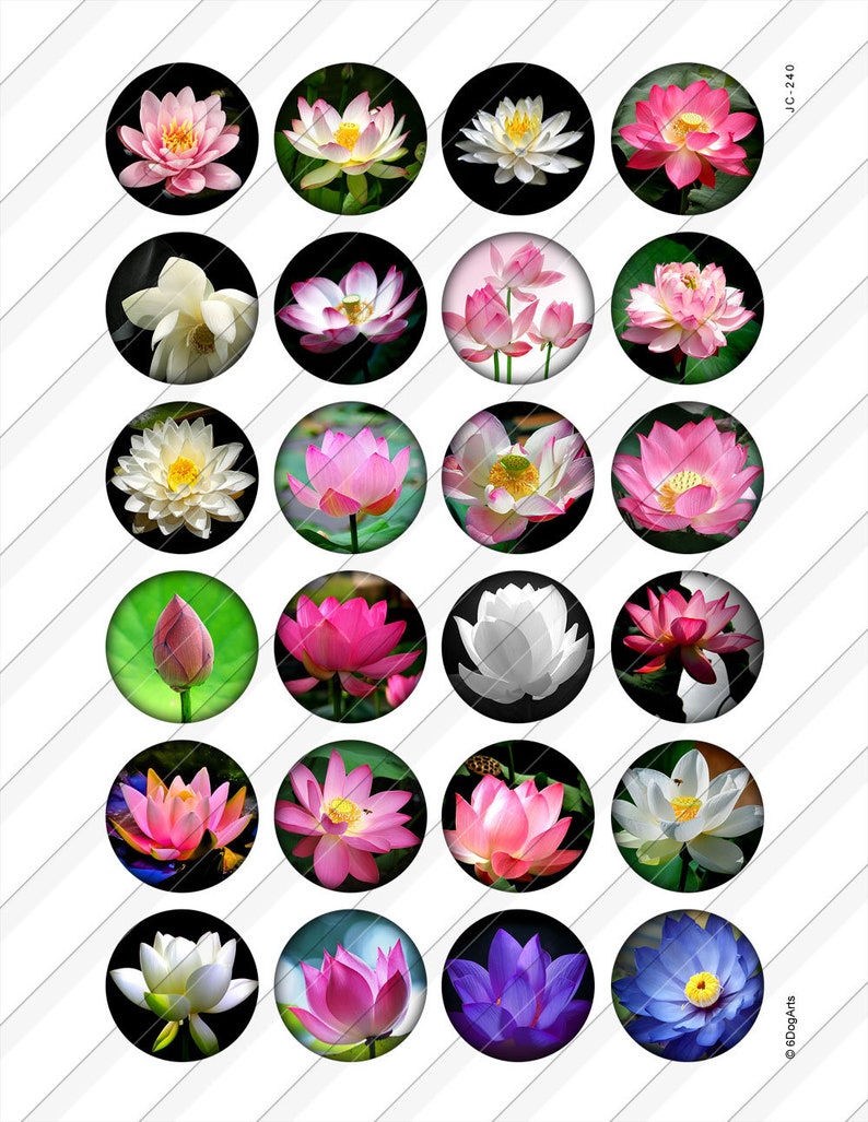 Lotus Flower Digital Collage Sheets Printable Download for Bottle Caps Pendants Paper Crafts 1.5", 1.25", 1", 30mm, 25mm Circles