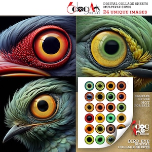 May include: A digital collage sheet featuring 24 unique bird eye images. The sheet includes a variety of colors and patterns, including green, red, yellow, and blue. The sheet is perfect for crafting and scrapbooking projects.