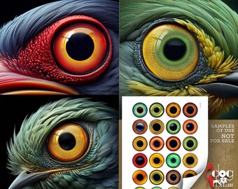 Bird Eyes Digital Collage Sheets Printable Iris Chips Doll Making Taxidermy Fish Lure Crafts 1.5, 1.25, 1", 30, 25mm Circles JC-472