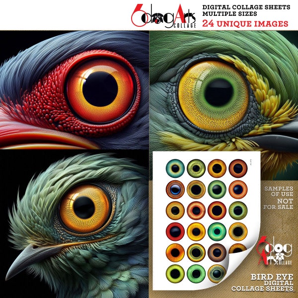 Bird Eyes Digital Collage Sheets Printable Iris Chips Doll Making Taxidermy Fish Lure Crafts 1.5, 1.25, 1", 30, 25mm Circles JC-472