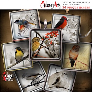 Vögel 1,5 &quot;, 1 &quot;, 30 mm, 15 mm Quadrate und Scrabble Fliesen Digital Collage Sheets Printable Download für Anhänger Glas Cabochons JC-224S