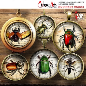 May include: Six round, glass, pendant charms with antique-style frames. Each charm features a different vintage-style image of a beetle or wasp on a background of old paper with writing. The charms are on a wooden surface.