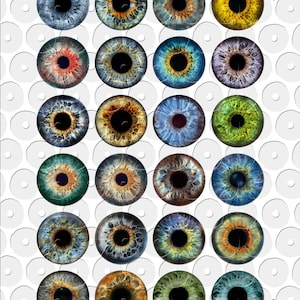 Realistic Eye Irides for Blythe Doll Making - digital collage sheets to download and print - by 6DogArtsCollage on Etsy.