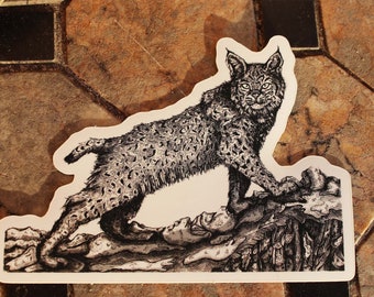 Lynx Lynx Pegatina Sticker - Etsy