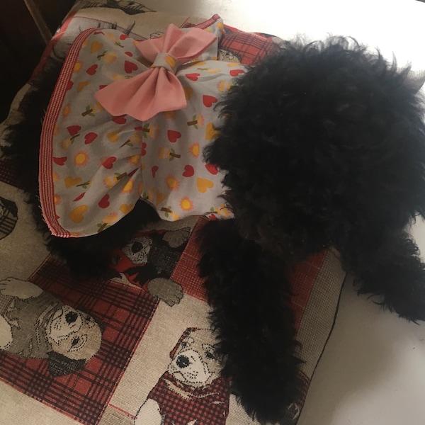 Robe de princesse pour petit chien-vêtements pour chien S-manteau pour chien-robe de promenade