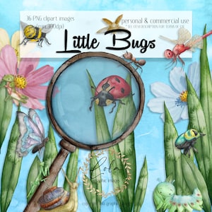 Cute Summer Bugs Clipart | Watercolor Insect | Bee | Snail | Dragonfly | Ladybug | Beetle | Moth | Hand Painted | Commercial Use | PNG Image
