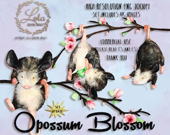 Cute Baby Opossum Clipart Woodland Animals Graphics Watercolor Possum Babyshower Hand Painted Watercolor Personal & Commercial Use PNG Image