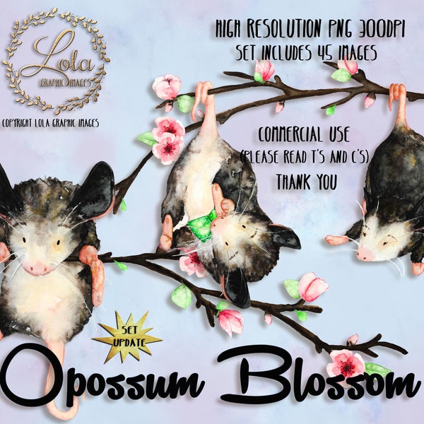Cute Baby Opossum Clipart Woodland Animals Graphics Watercolor Possum Babyshower Hand Painted Watercolor Personal & Commercial Use PNG Image