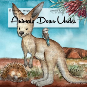Cute Australian Animals Clipart | Watercolor Kangaroo | Koala | Platypus | Crocodile | Protea | Hand Painted | Commercial Use | PNG Image
