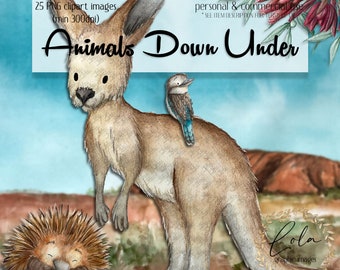 Cute Australian Animals Clipart | Watercolor Kangaroo | Koala | Platypus | Crocodile | Protea | Hand Painted | Commercial Use | PNG Image