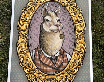 Mr. Llama portrait - Charleston, SC 7-11-25
