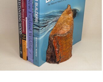 Bookends Made From a Beaver Tree Stump