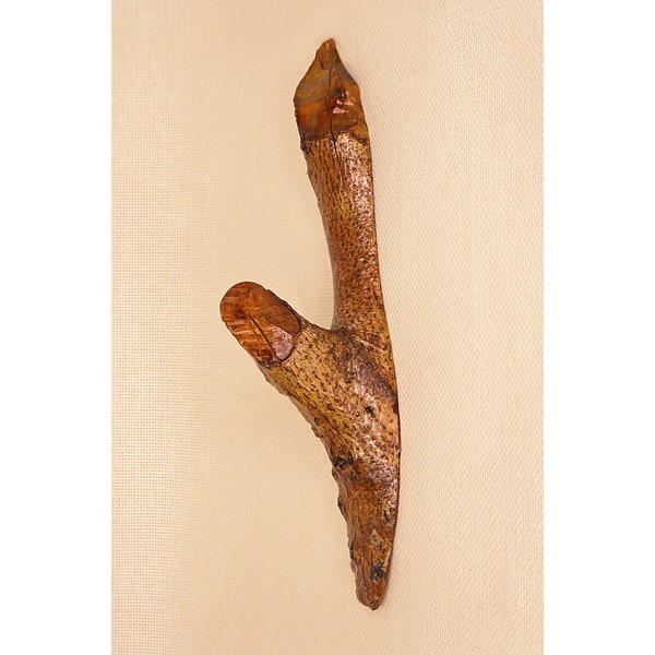 Coat Hook Made From a Beaver-Chewed Stick
