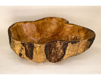 Bowl Made From a Beaver Tree Stump