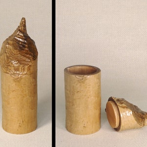 Small Box Made From a Beaver-Chewed Log